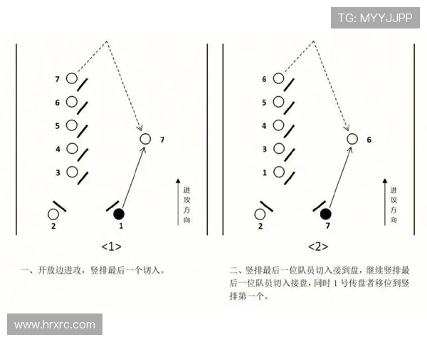 从零开始掌握飞盘技巧与战术全解析助你成为飞盘高手