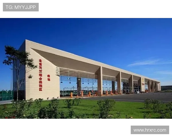 重庆羽毛球队的运营模式与发展策略深度解析