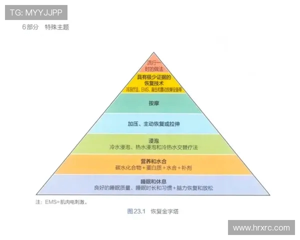 全面提升运动表现的科学方法与训练技巧解析